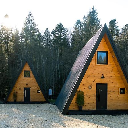 The Palo Cabins Predeal Exteriér fotografie
